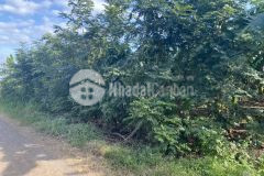 D854 đất sào hẻm hoà phú cách quốc lộ 14 chỉ 4,5km