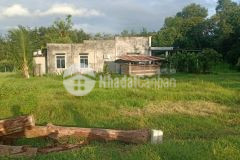 Cần xả lô đất đẹp tại phước tây xã phước thạnh gò dầu tây ninh giá 450tr