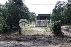 Cho thuê nhà nguyên căn gần chi cục thuế huyện cam lâm