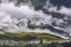 Mảnh đất trung tâm y tý diện tích 358.5m2 phù hợp đầu tư