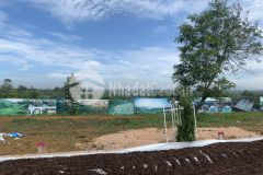 Cần bán gấp đất kiếm tiền trả nợ nyc