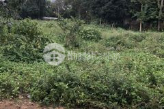 Bán đất giá đầu tư đường hcm chỉ với 620tr