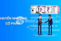 Chuyển nhượng 50 cổ phần công ty galatex việt nam