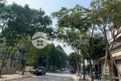 Bán nhà trần kim xuyến phân lô, vỉa hè 5m, ôtô tránh, kd đỉnh, 60m2x5t, mt 5m, nhỉnh 17 tỷ 0975642942