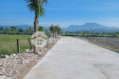 Đất xây dựng thị trấn đinh văn lâm hà lâm đồng 140m2 giá 1.23 tỷ đường nhựa 5m