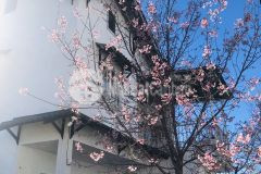 Còn duy nhất căn biệt thự sân vườn nghỉ dưỡng tại ngô tất tố phường 8 đà lạt giá chỉ 11.5 tỷ