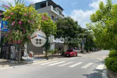 Phân lô, tđc giang biên, khu vip, vỉa hè, 2 bước ra mai chí thọ, ở sướng.