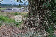 D873 bán đất view ruộng thôn 9 tự thành xã hòa khánh giá 1 tỷ2