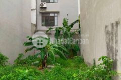 Bán đất mặt phố phúc lợi, 4 làn ôtô, vỉa hè, hàng xóm vinhome riverside.