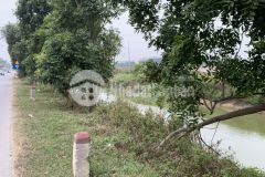 Bán đất xã cẩm hưng cẩm giang hải dương