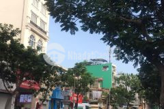 Hxt 3 tầng, nguyễn văn luông, p12, trung tâm quận 6 gần 40m2 chỉ 6 tỷ thương lượng