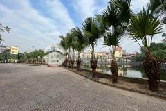 Bán đất gần đường thanh niên, ph quang trung, tp hd, 179m2, 2 mặt đường, vị trí đẹp