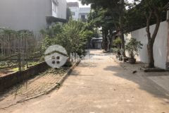 Bán đất tái định cư hồ đắp nếp tư đình long biên giá 150trm2 thích hợp đầu tư lâu dài.