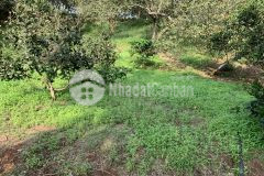 Bán gấp 8400m2 đất triền núi view đẹp tại hàng gòn