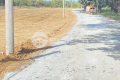 Đất nền có thổ cư giá rẻ bình phước