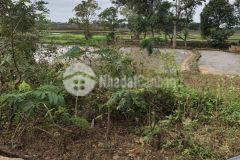 D876 bán lô đất hẻm sau chợ eakao view ruộng mát mẻ