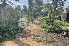 Bán đất siêu phẩm 3 mặt tiền xã ea tiêu