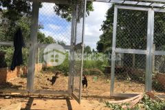 Bán đất giá đầu tư buôn cao