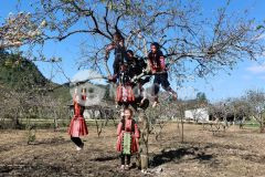 Đón sóng quy hoạch khu du lịch quốc gia mộc châu. pháp lý, sổ đỏ rõ ràng, sang tên nhanh gọn.