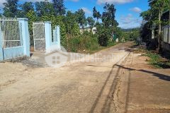 D881 bán đất thôn 11 hoà khánh cách chợ eakao 1,5km