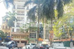 Bán gấp mặt phố trần thái tông, dịch vọng hậu, cầu giấy 130m2 mt8m 40 tỷ