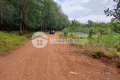 Chủ ngộp cần bán lô đất ngay cụm kcn thanh an bình phước