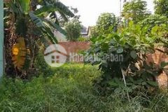 Đất rẻ giá sốc lên sốc xuống 2 phút ra phố lĩnh nam 246m2 11.7m mặt tiền 13.9 tỷ