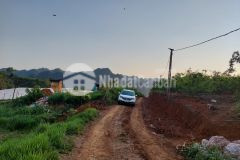 Bán lô đất tại trung tâm mộc châu có sẵn vườn mận lớn