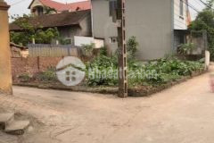 Đất thượng thanh long biên lô góc ngõ thông ô tô chia lô đầu tư đỉnh 72m2 mt7m chỉ 5tỷ