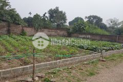 Chỉ nhỉnh 5trm2 mảnh đất tại xuân linh thủy xuân tiên rất tiềm năng