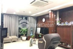 80m2x8t thang máy, 6m mặt tiền phố chùa quỳnh hai bà trưng, vỉa hè kd, cho thuê 100 triệu