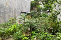 Bán đất hiếm15m đường oto ở sướng3,55tỷ xuân la