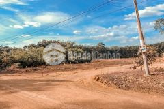 Đất sào sỉ 7 nền đồng tiến đồng phú