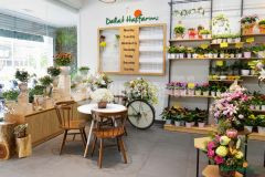 Nhà mặt phố hoàng cầu đống đa, 50m2, mt 5m, kinh doanh, vỉa hè, 23 tỷ