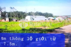 625 triệu 1 nền đất thổ cư ở ấp đồng bia xã tân lợi đồng phú