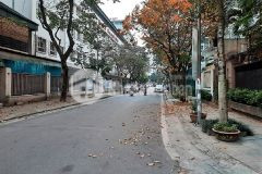 Biệt thự vườn mỹ đình, từ liêm. vỉa hè, ô tô, công viên. 145m2 x mt14m x 4t, giá 27 tỷ