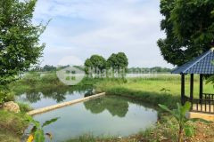 Siêu phẩm bám hồ đồng chanh đường to 2 ô tô tránh, 6.x tỉ còn sót