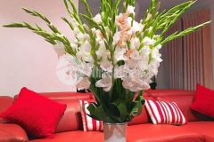 3.3 tỷ nhà 4x8m, hẻm ô tô, đường số 2, bình hưng hòa a, bình tân