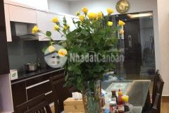 Đội cấn ba đình thang máy ô tô tránh vỉa hè rộng, kd đỉnh chỉ 11 tỷ.