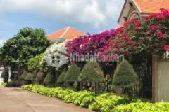 Bán biệt thự có hồ bơi khu kim minh đường lê hồng phong. p.thắng tam.