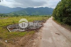 Đất diên tân rộng rãi làm nhà vườn