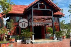 Bán đất tặng homestay ngọc thanh