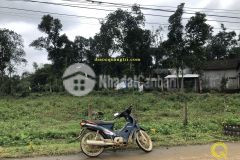 Cần bán lô đất đẹp thôn cam lộ phường, xã cam nghĩa, huyện cam lộ, tỉnh quảng trị.