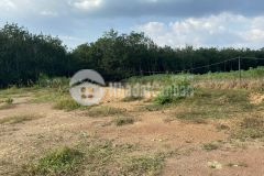 Chính chủ cần ra gấp lô đất diện tích 1000m2