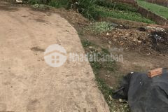 Bán đất 2 mặt tiền hẻm 337 võ văn kiệt.