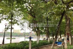 Nhà một mặt phố, một mặt ngõ ô tô đỗ phố trần hữu tước, đống đa. 0911554873.