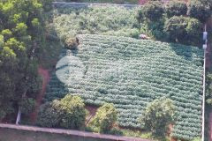 Cơ hội hưởng lãi vốn chỉ với giá 4,2tr sổ đỏ hà nội với lợi nhuận lên đến 80.