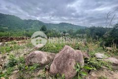 Lô đất đẹp view suối đầu nguồn giang ly khánh vĩnh. mặt tiền đường nhựa. giá tốt.