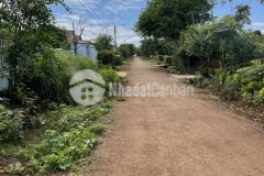 D900 bán 2 lô liền kề xã hoà xuân ngay nông trường mía