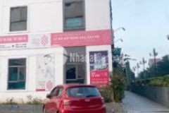 Chính chủ bán căn hộ chung cư liền tầng arita 35 phan bội châu tp vinh